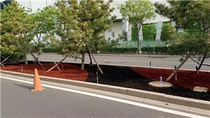 北京奥林匹克中心区