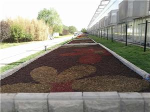 北京奥林匹克中心区