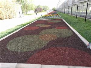 北京国际鲜花港