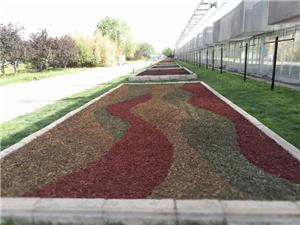 北京国际鲜花港