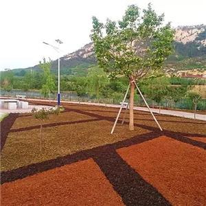 烟台昆嵛山国家森林公园