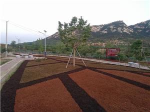 烟台昆嵛山国家森林公园