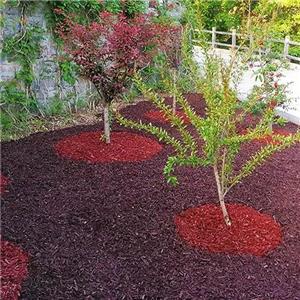 烟台昆嵛山国家森林公园