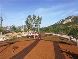 烟台昆嵛山国家森林公园