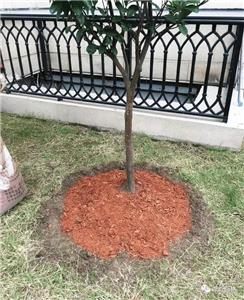 别墅庭院大改造