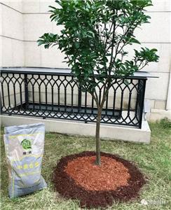 别墅庭院大改造