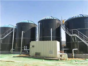 河北常山生化药业股份有限公司