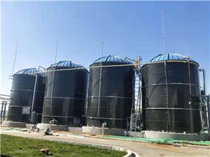 河北常山生化药业股份有限公司