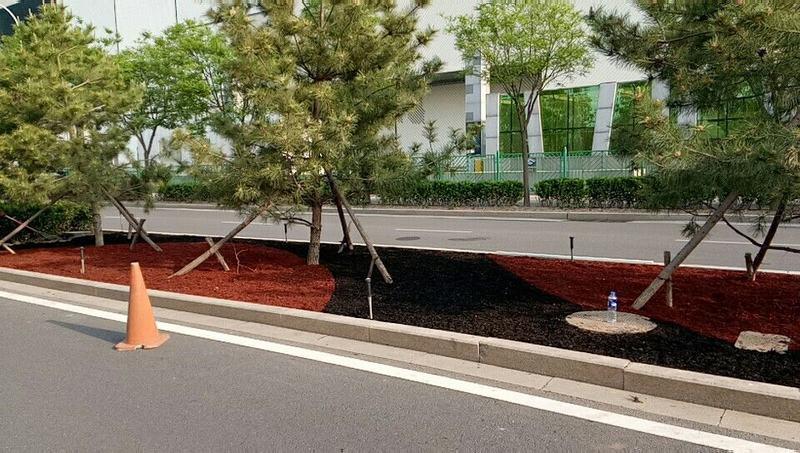 北京奥林匹克中心区