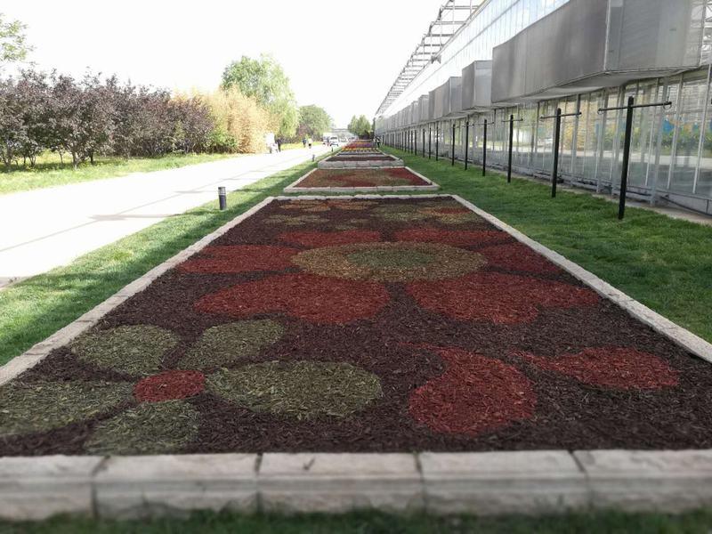 北京国际鲜花港