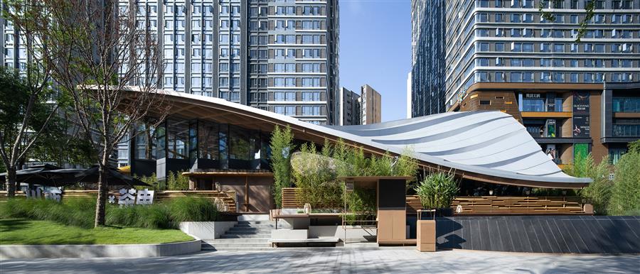 都市中的自然栖息地——交子大道木屋顶餐厅