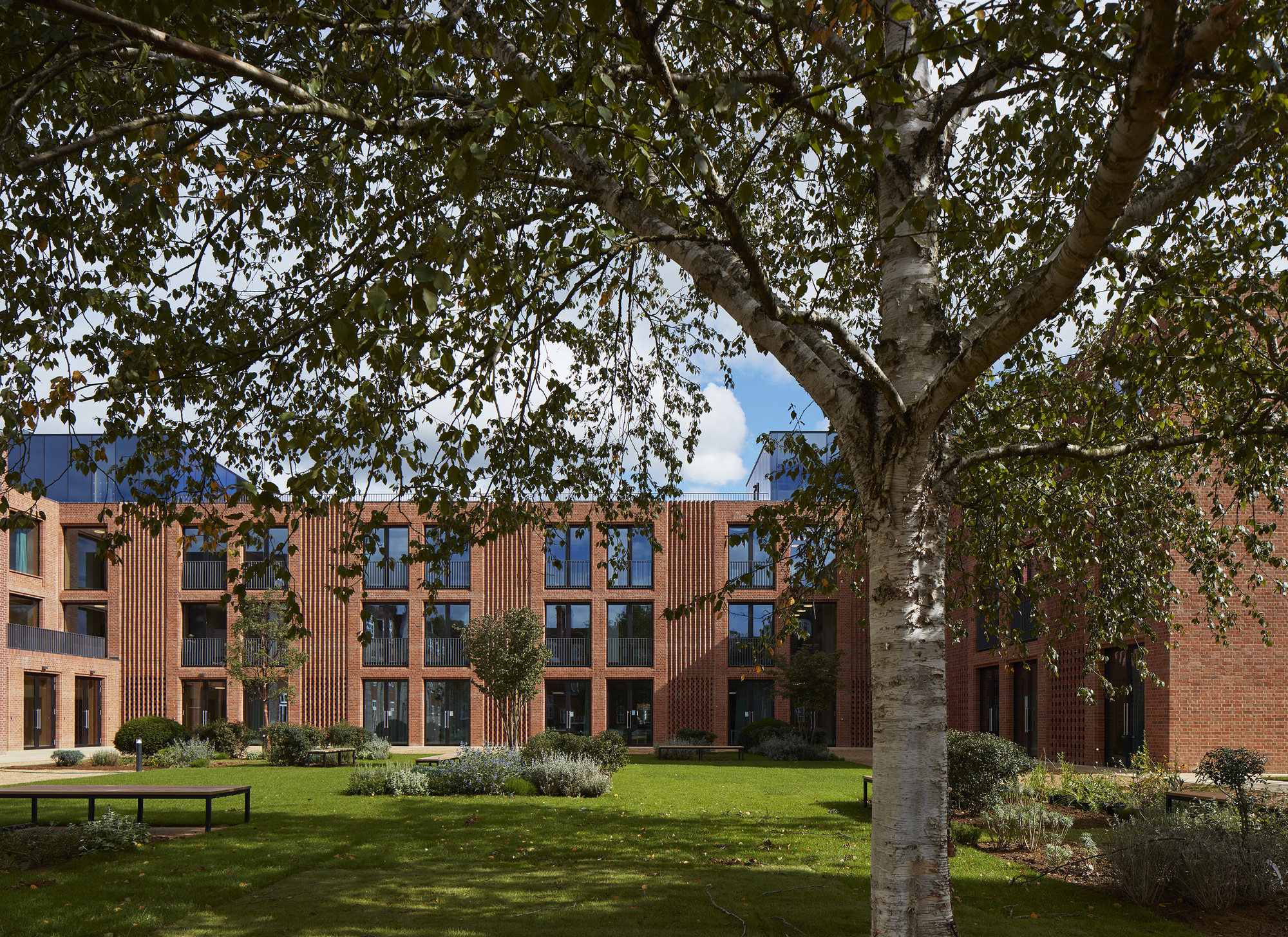 英国·Dorothy Garrod公寓楼---Walters & Cohen Architects
