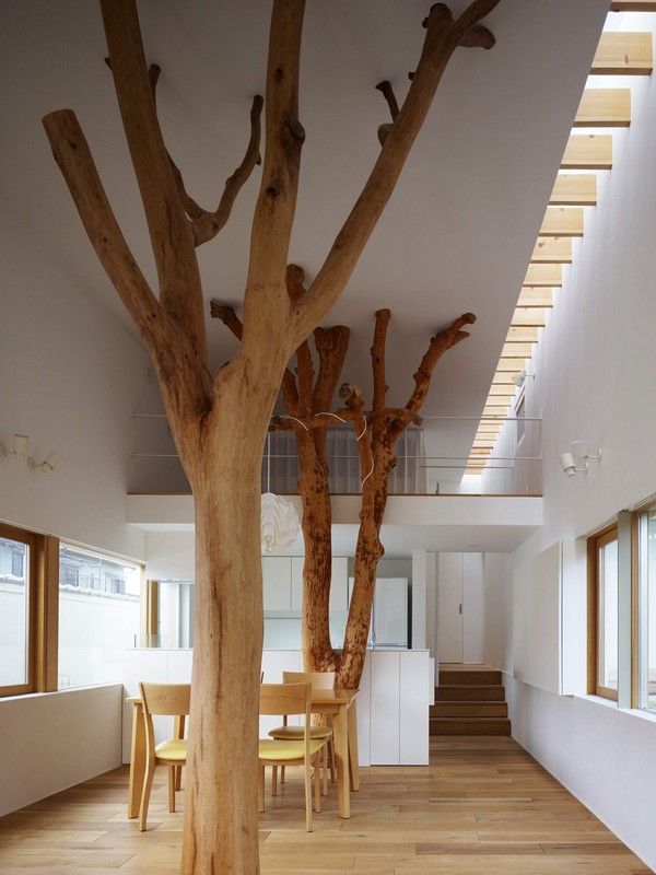 日本·特色“花园树屋”---Hironaka Ogawa & Associates