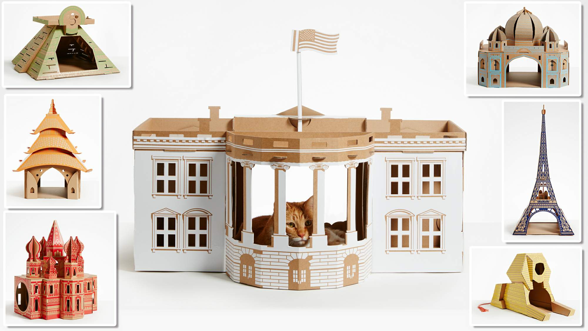 Poopy Cat亲手为猫咪打造游乐园式的猫舍