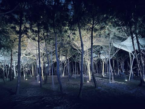 新作 | 一片寻常松林的蝶变——日照云过山丘“松衣剧场”---孔祥伟工作室