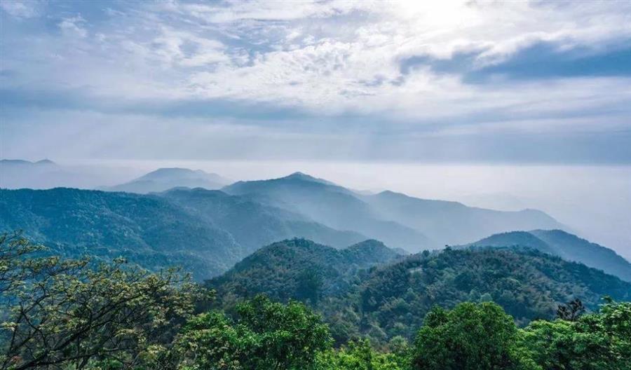 山地“叠墅”果然震撼！层层退台、14米超大面宽、户户独立电梯的设计！！