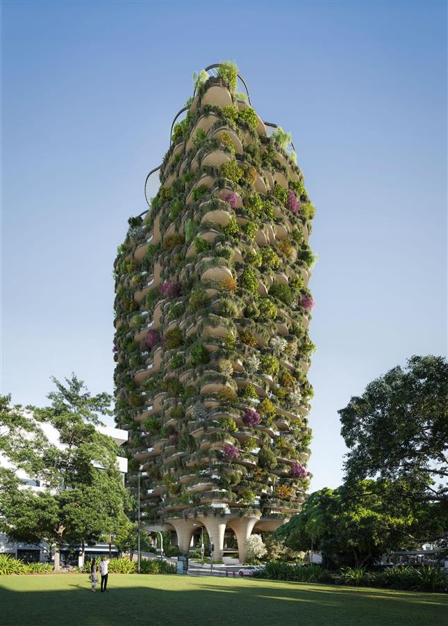 koichi takada architects设计布里斯班的“城市森林”
