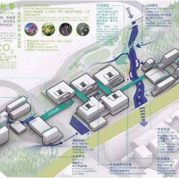 近零碳 | 现代校园设计——GTSI 天津大学佐治亚理工深圳学院